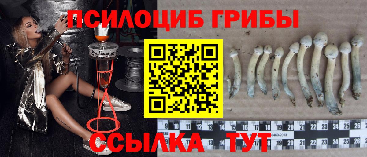 Галлюциногенные грибы прущие грибы Ялта