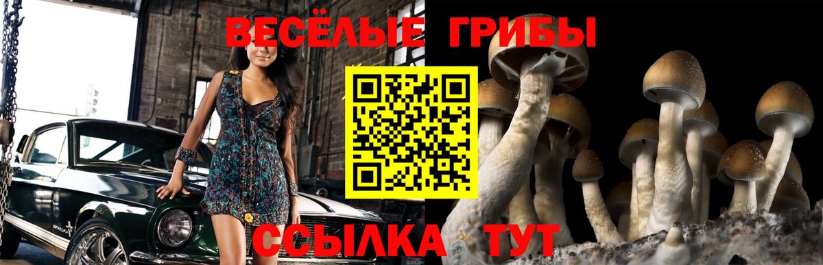 купить закладку  Вход с VPN  Ялта  Галлюциногенные грибы Psilocybine cubensis 